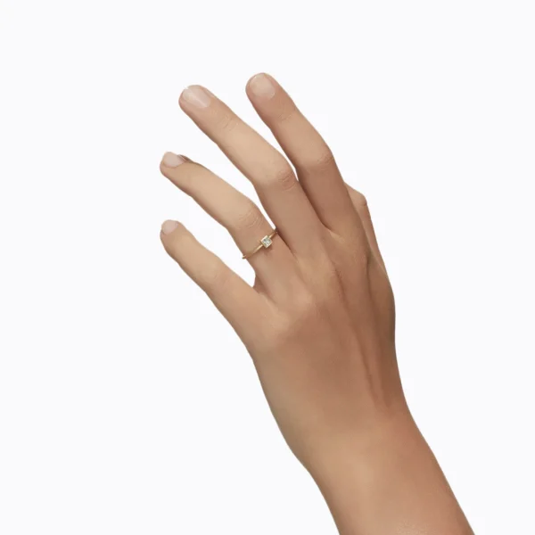Classic Ring 03^Shihara Fashion