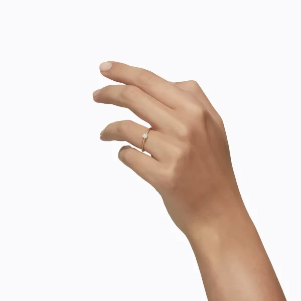 Classic Ring 04^Shihara New