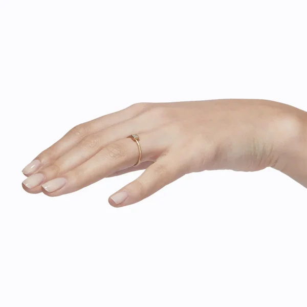 Classic Ring 03^Shihara Fashion