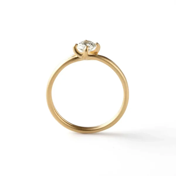 Cross Ring 01^Shihara Hot