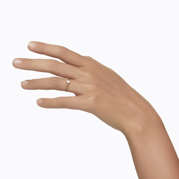 Cross Ring 01^Shihara Hot