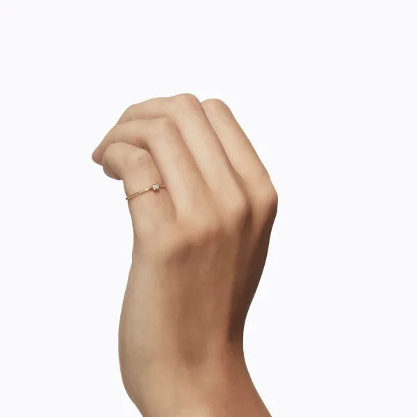 Petite Ring 02^Shihara Best